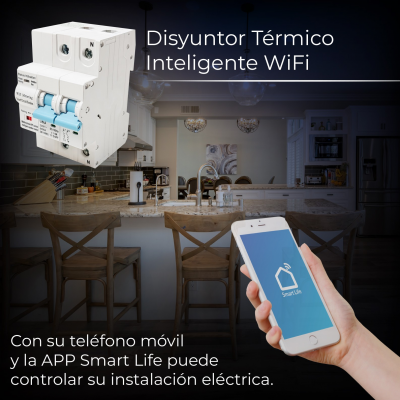 1983 Disyuntor Termico Inteligente - 03
