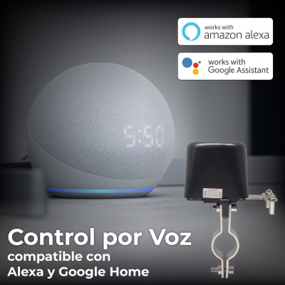 1939 Valvula agua - 10