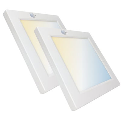 2049CCT Panel 20W Sensor - Pack 2