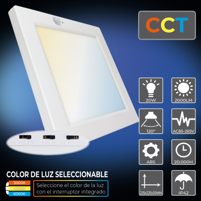 2049CCT Panel 20W Sensor - 09