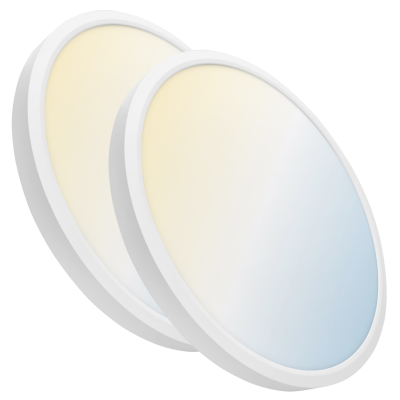 1999CCT Plafón 42W - Pack 2