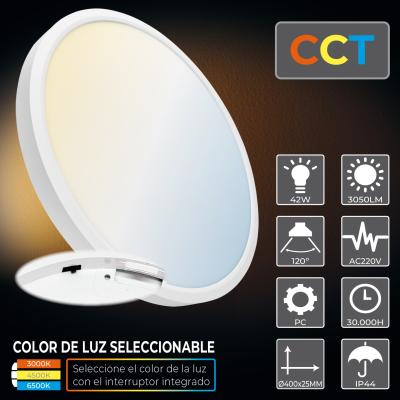 1999CCT Plafón 42W - 09