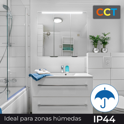 1999CCT Plafón 42W - 10