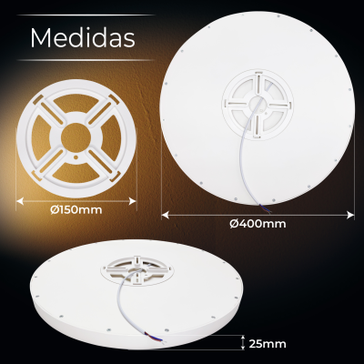 1999CCT Plafón 42W - 11