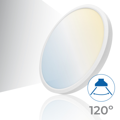 1999CCT Plafón 42W - 04