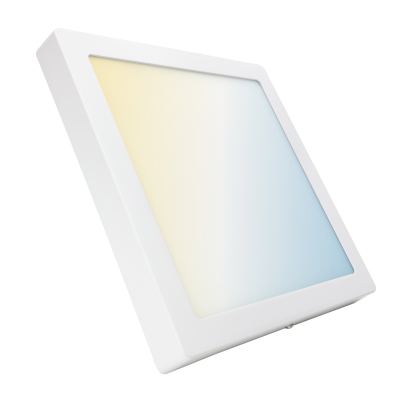 Plafoniera LED da Soffitto...