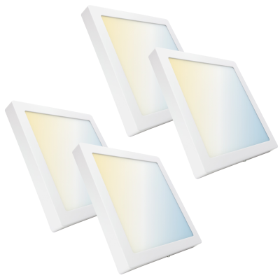 1197CCT - PLAFON 24W - Pack04