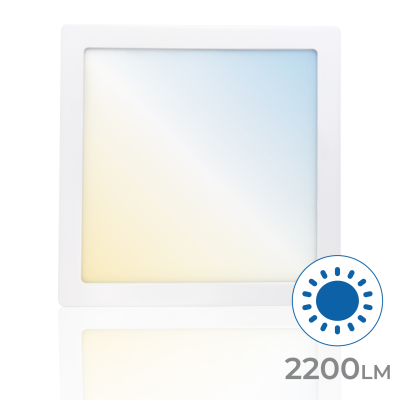 1197CCT - PLAFON 24W - 02