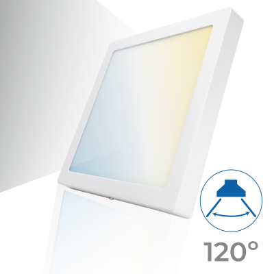 1197CCT - PLAFON 24W - 04