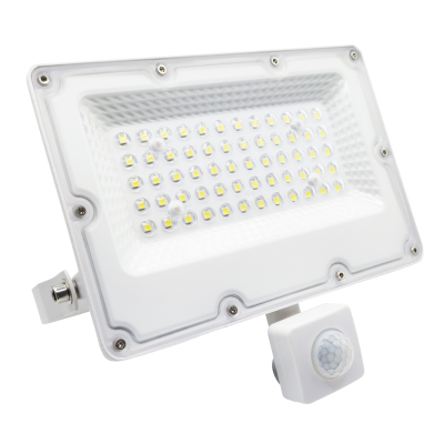 LED Floodlight with Motion...
