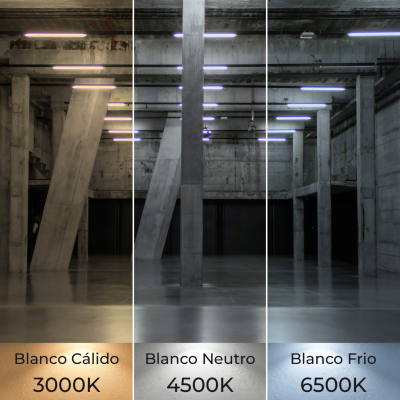 1578ABCCT - TUBO T8 60CM - 02