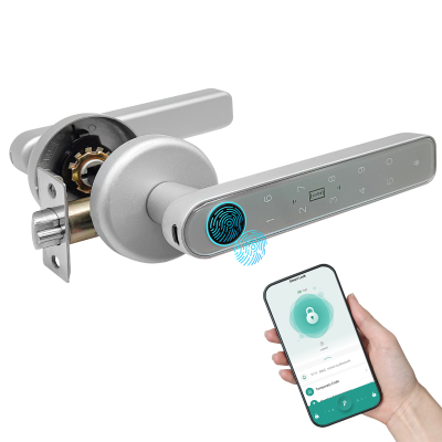 Smart Door Lock with...