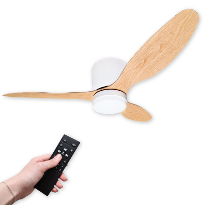 Ventilatore da soffitto e...