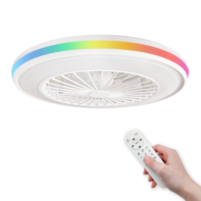 Ventilatore da Soffitto con...