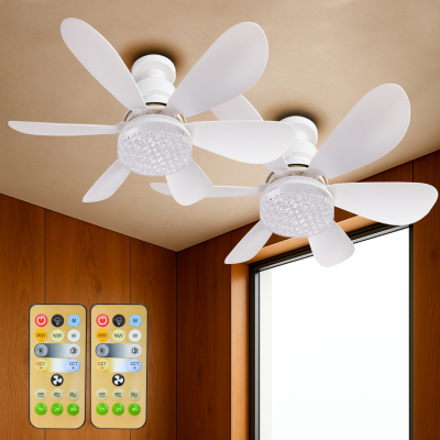 2054 - Ventilador techo con luz 30W - Pack 02