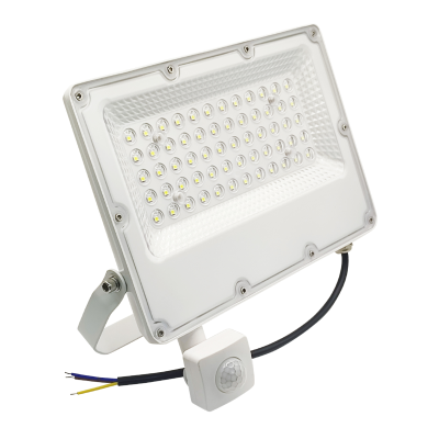 1498IDCW - Proyector LED con Sensor 50W - 01