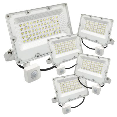 2187 - Proyector LED con Sensor 30W - Portada 05