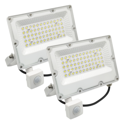 2187 - Proyector LED con Sensor 30W - Portada 02