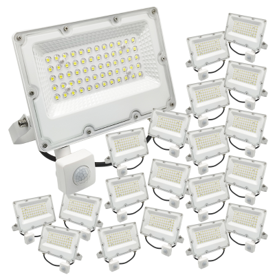2187 - Proyector LED con Sensor 30W - Portada 20