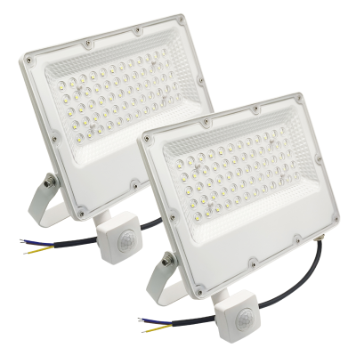 1498IDCW - Proyector LED con Sensor 50W - Portada 02