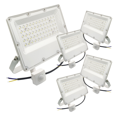 1498IDCW - Proyector LED con Sensor 50W - Portada 05