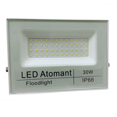 ID1590 - FLOODLIGHT 30W 01