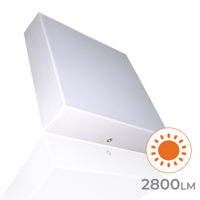 1647 - FRAMELESS 32W 02