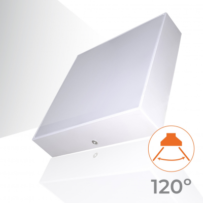 1647 - FRAMELESS 32W 04