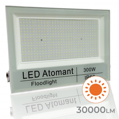 1725 - FLOODLIGHT 300W 02